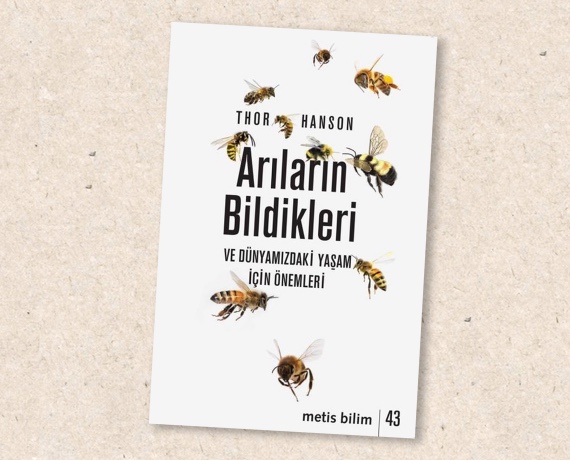 kitap