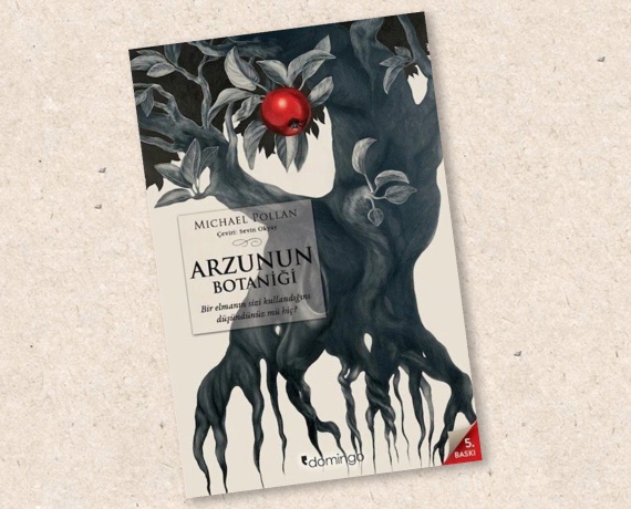 kitap