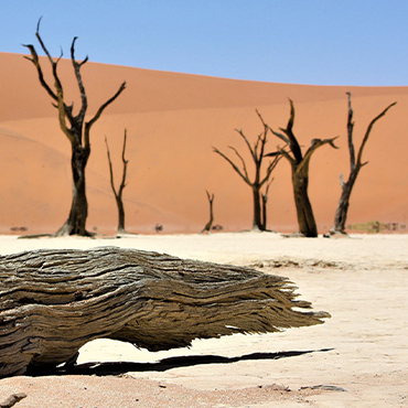 ipcc